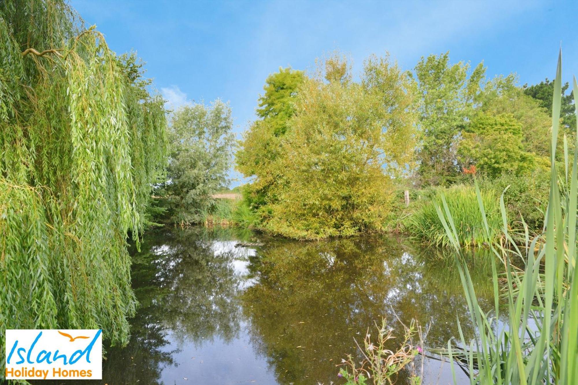 Willows Calbourne Buitenkant foto